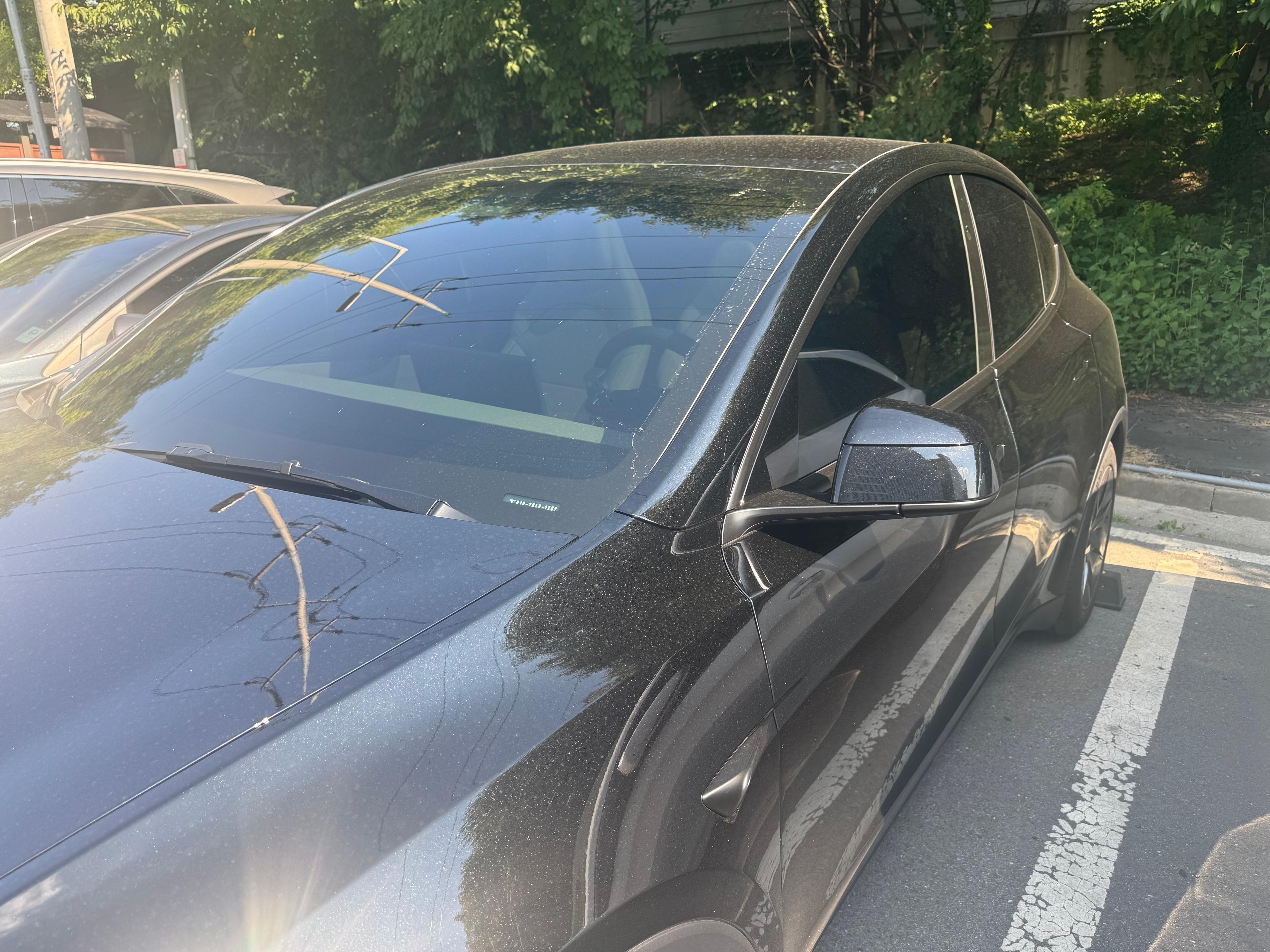 테슬라 Model Y 출고후기 옆면 사진