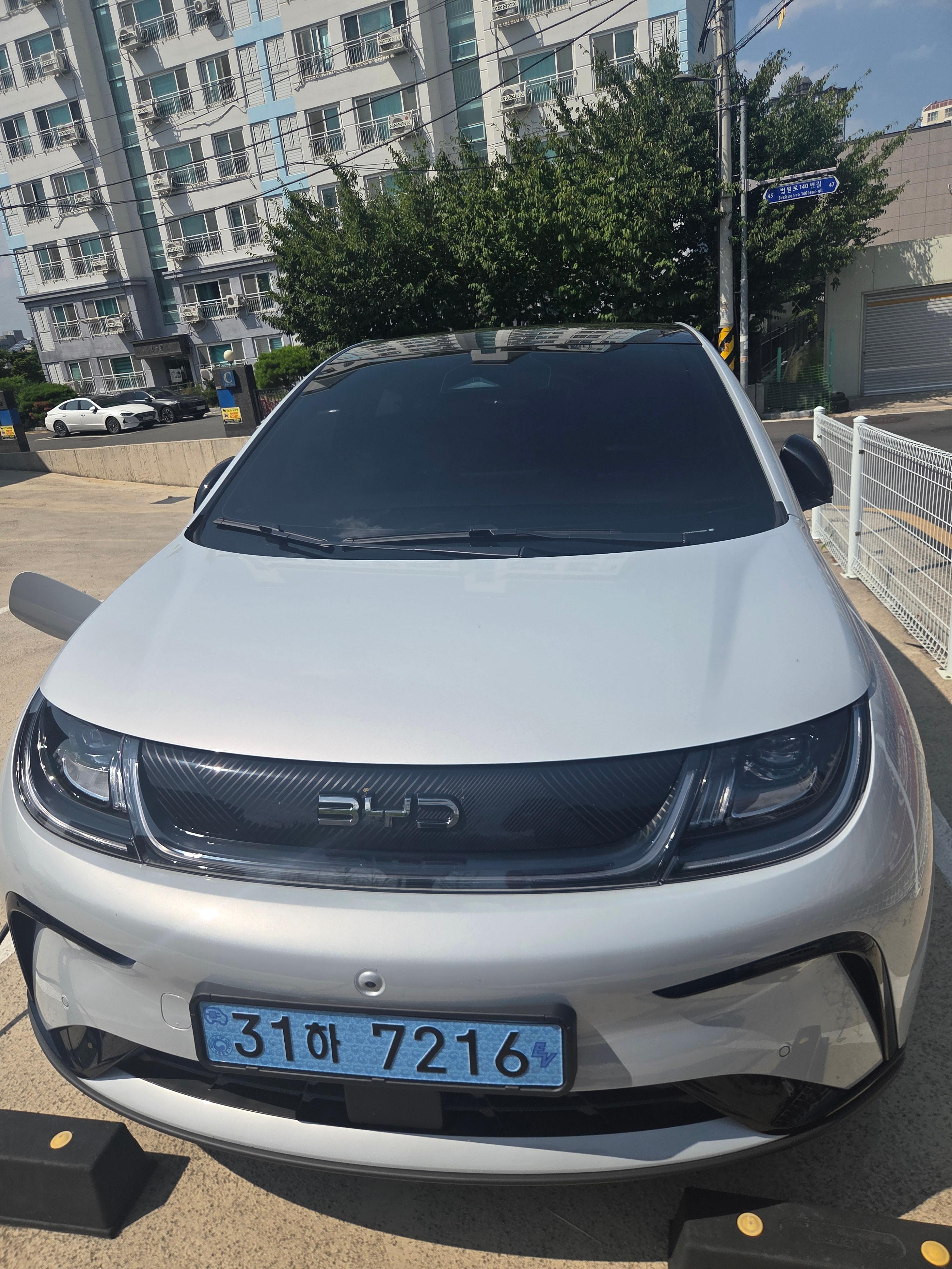 BYD Dolphin 출고후기 전면 사진