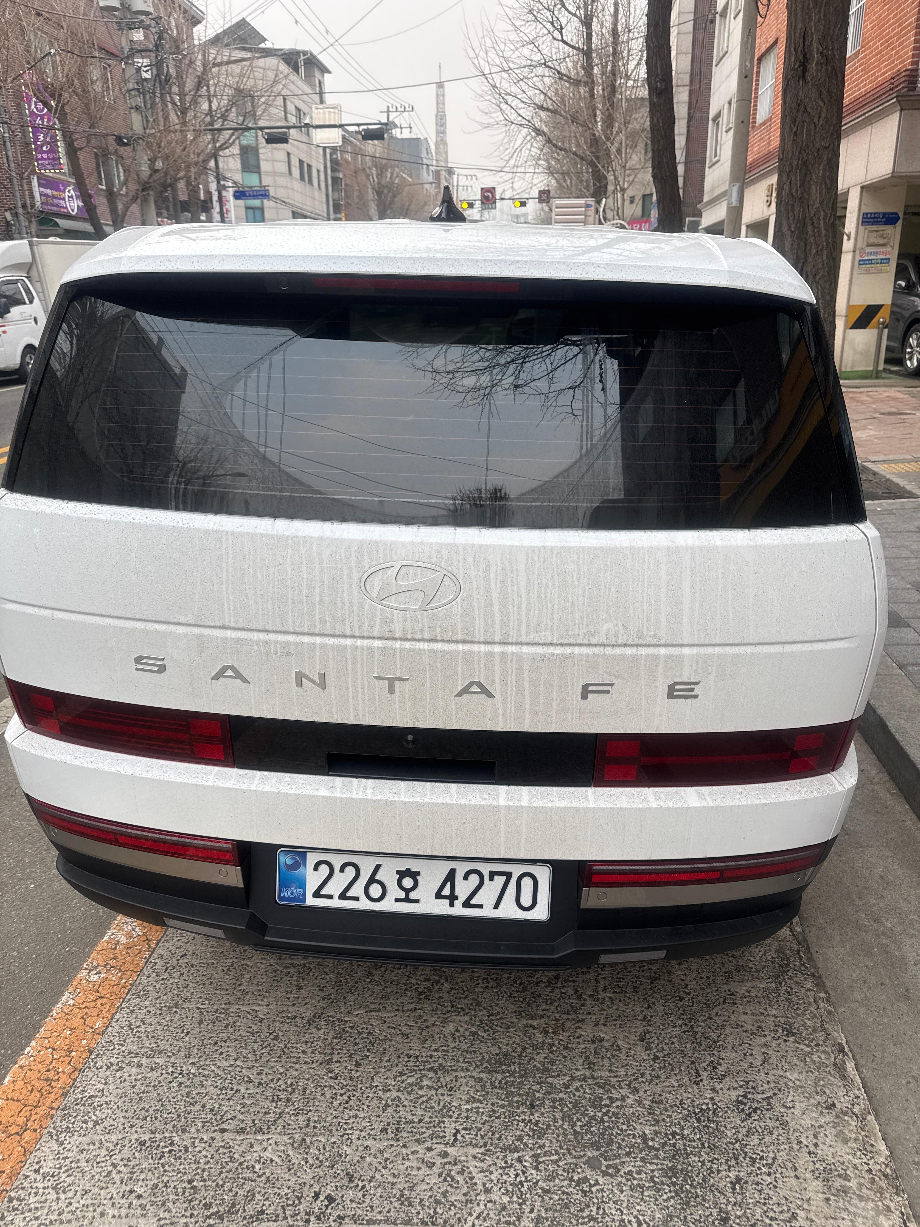 현대 싼타페 출고후기 후면 사진